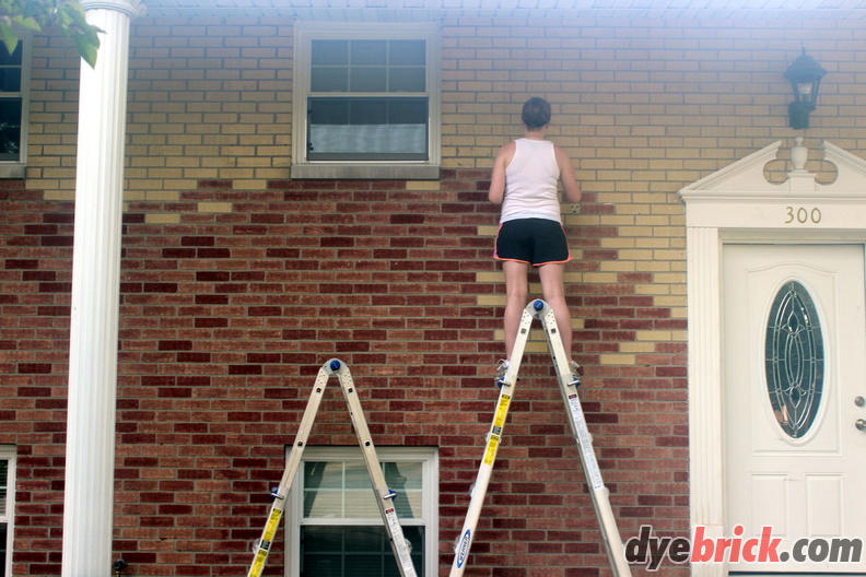 002 Applying Dyebrick.JPG